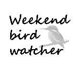 Weekend bird watcher