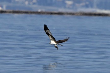 Osprey 江田島 Wed, 1/1/2020