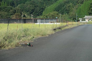 未同定 場所が不明 2018年10月8日(月)