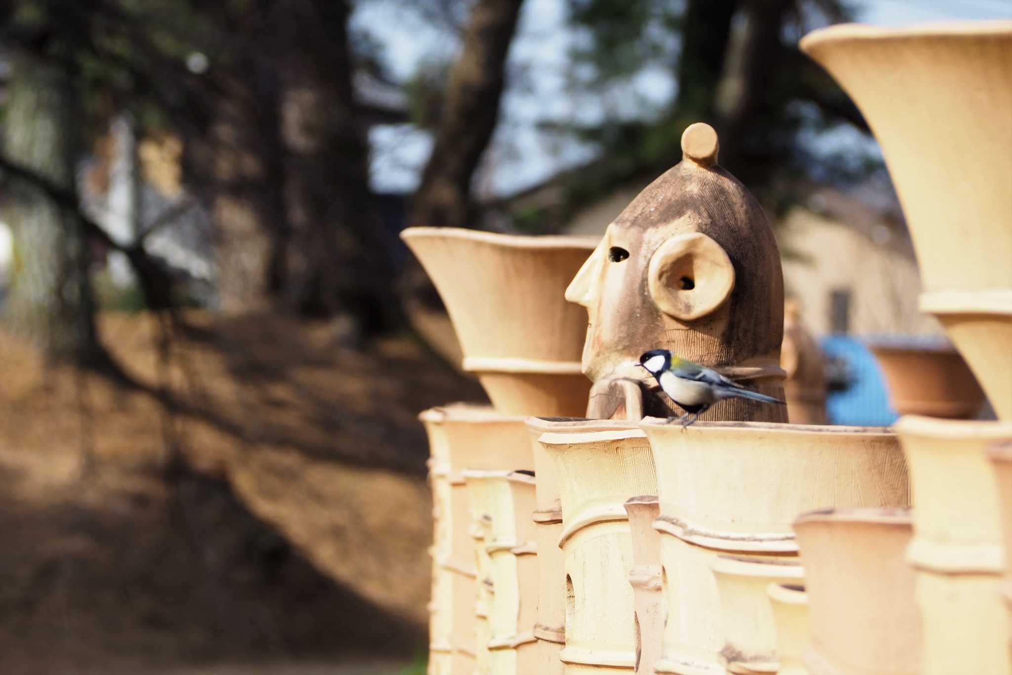 Photo of Japanese Tit at 大室公園 by kame