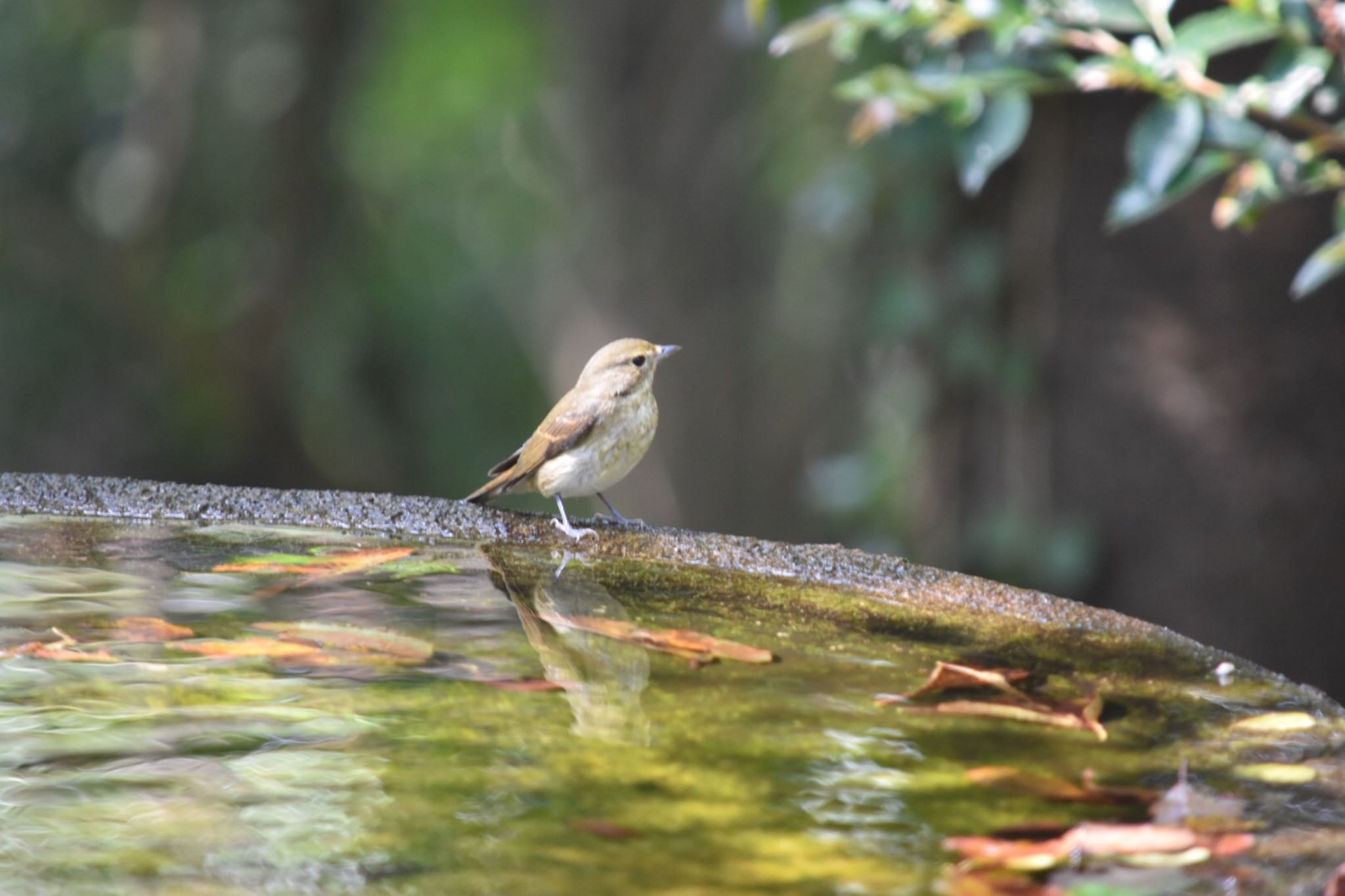 Untitled Photo by mahomama