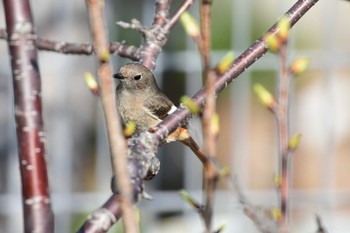 未同定 場所が不明 撮影日未設定