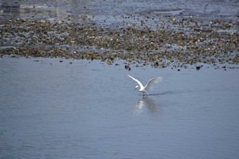 未同定 場所が不明 2020年4月29日(水)