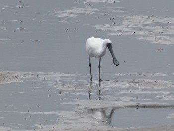 未同定 場所が不明 2020年5月6日(水)