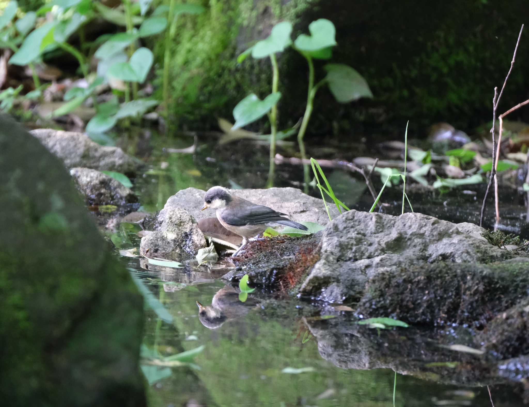 Untitled Photo by taiga