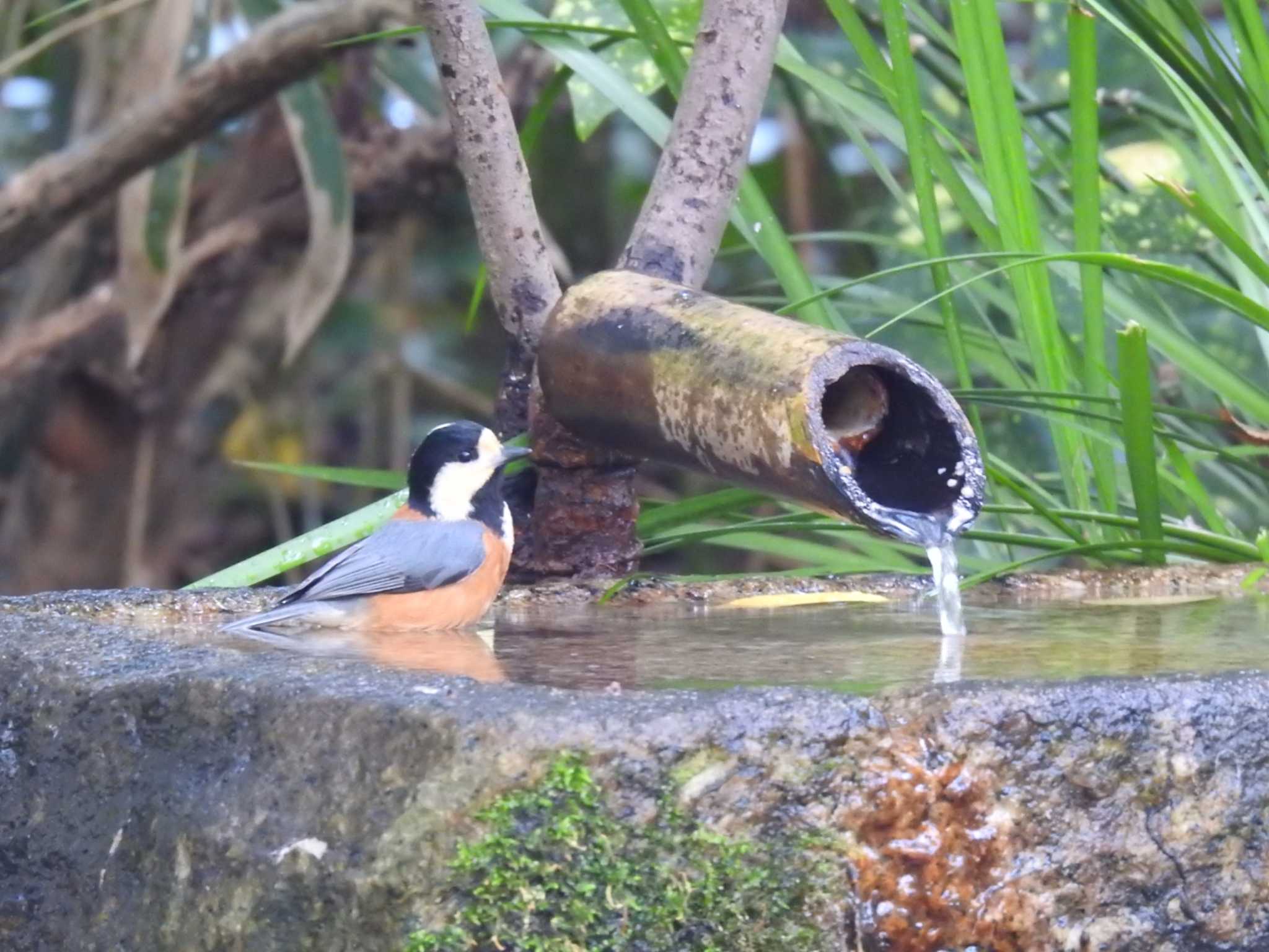 いっい湯ぅだあな。 by hideneil