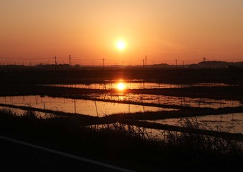 未同定 稲敷市 2020年12月7日(月)