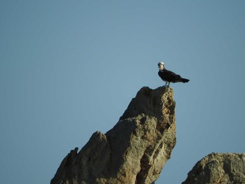 Osprey Unknown Spots Thu, 10/27/2016