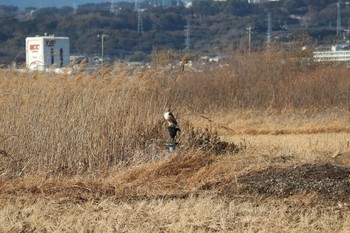 未同定 場所が不明 撮影日未設定