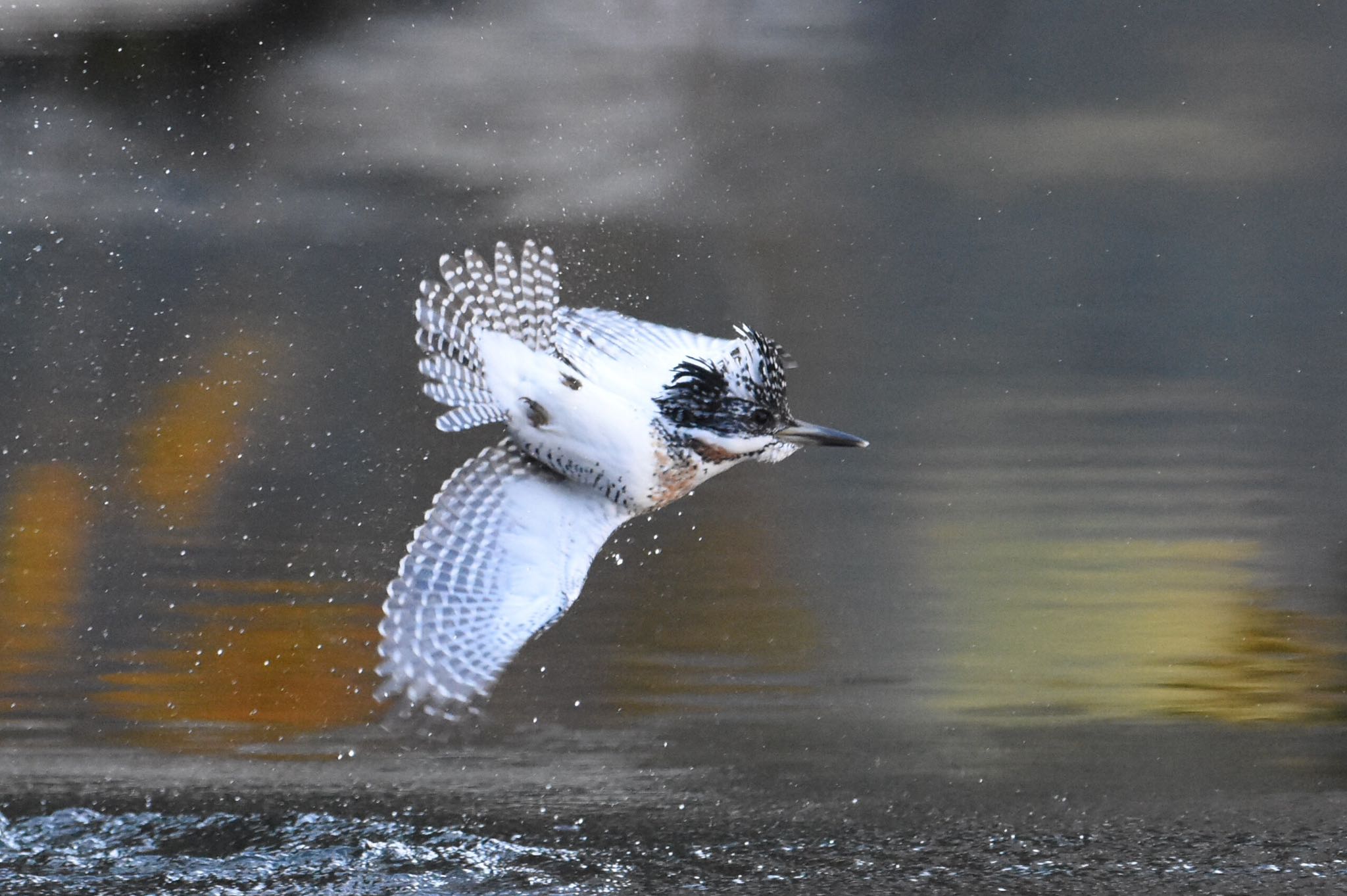 Untitled Photo by アカウント558