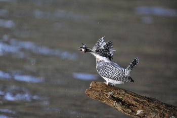 未同定 場所が不明 2015年2月20日(金)