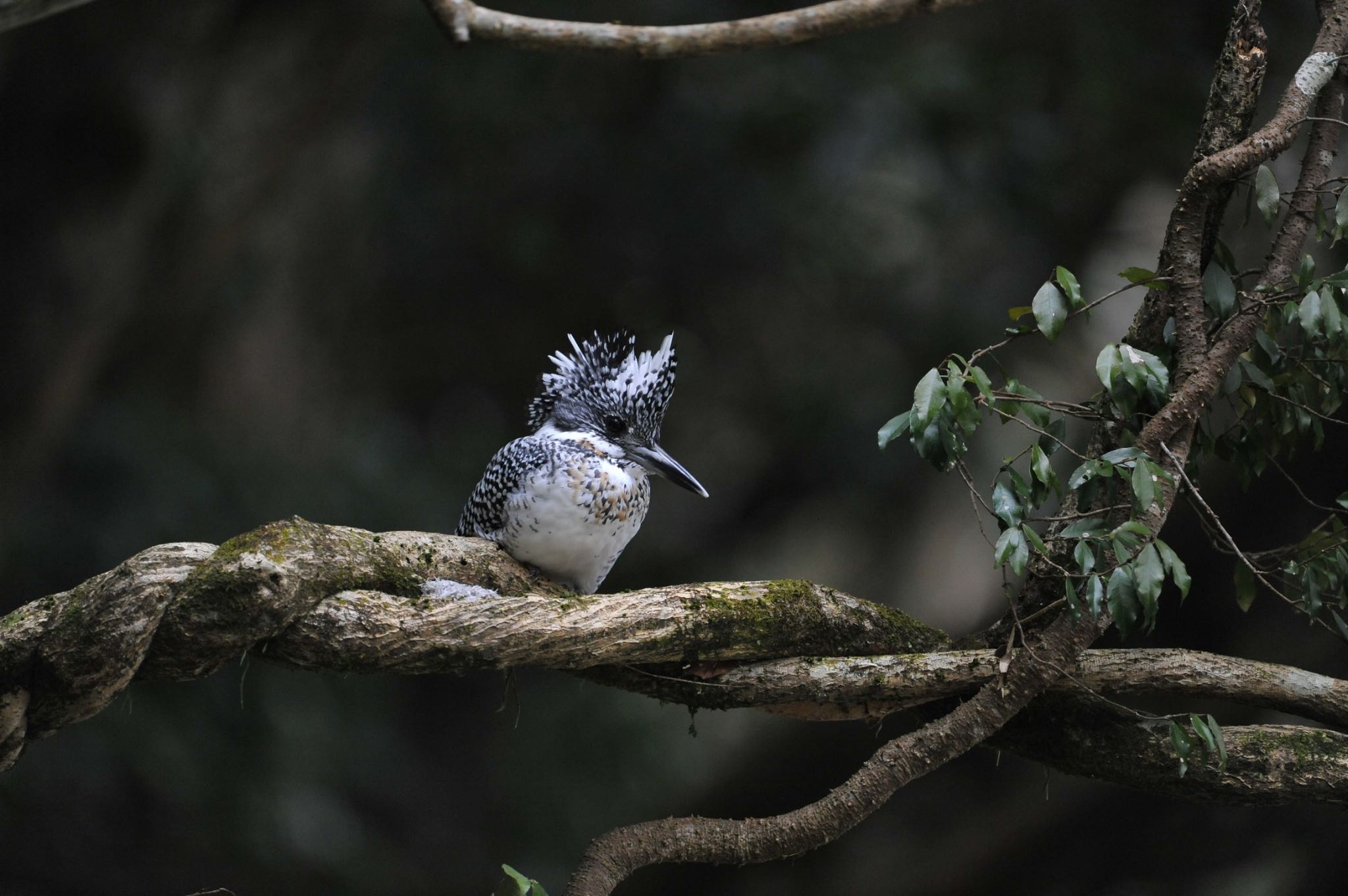 Untitled Photo by アカウント558