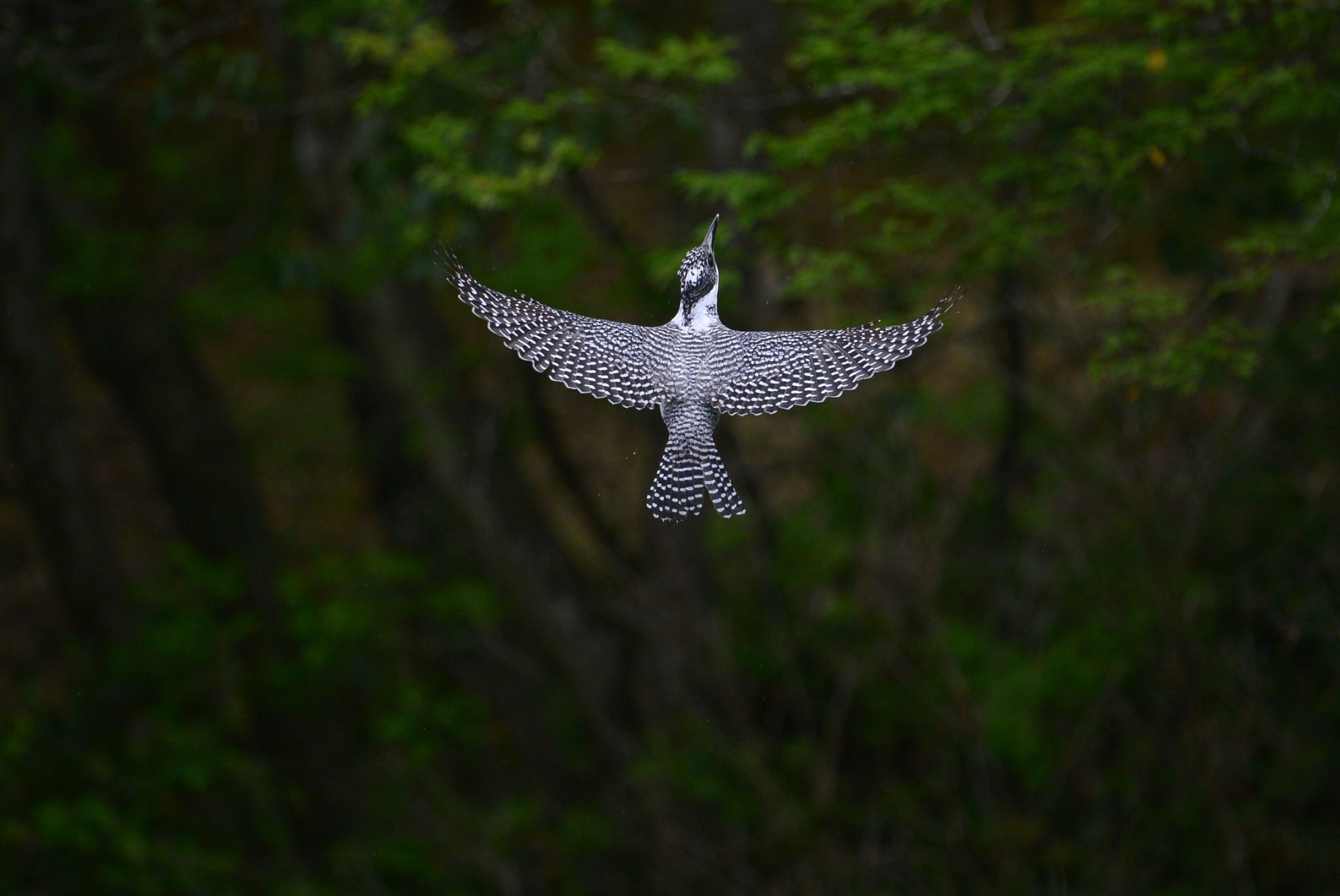 Untitled Photo by アカウント558