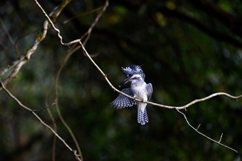 未同定 場所が不明 2016年11月26日(土)