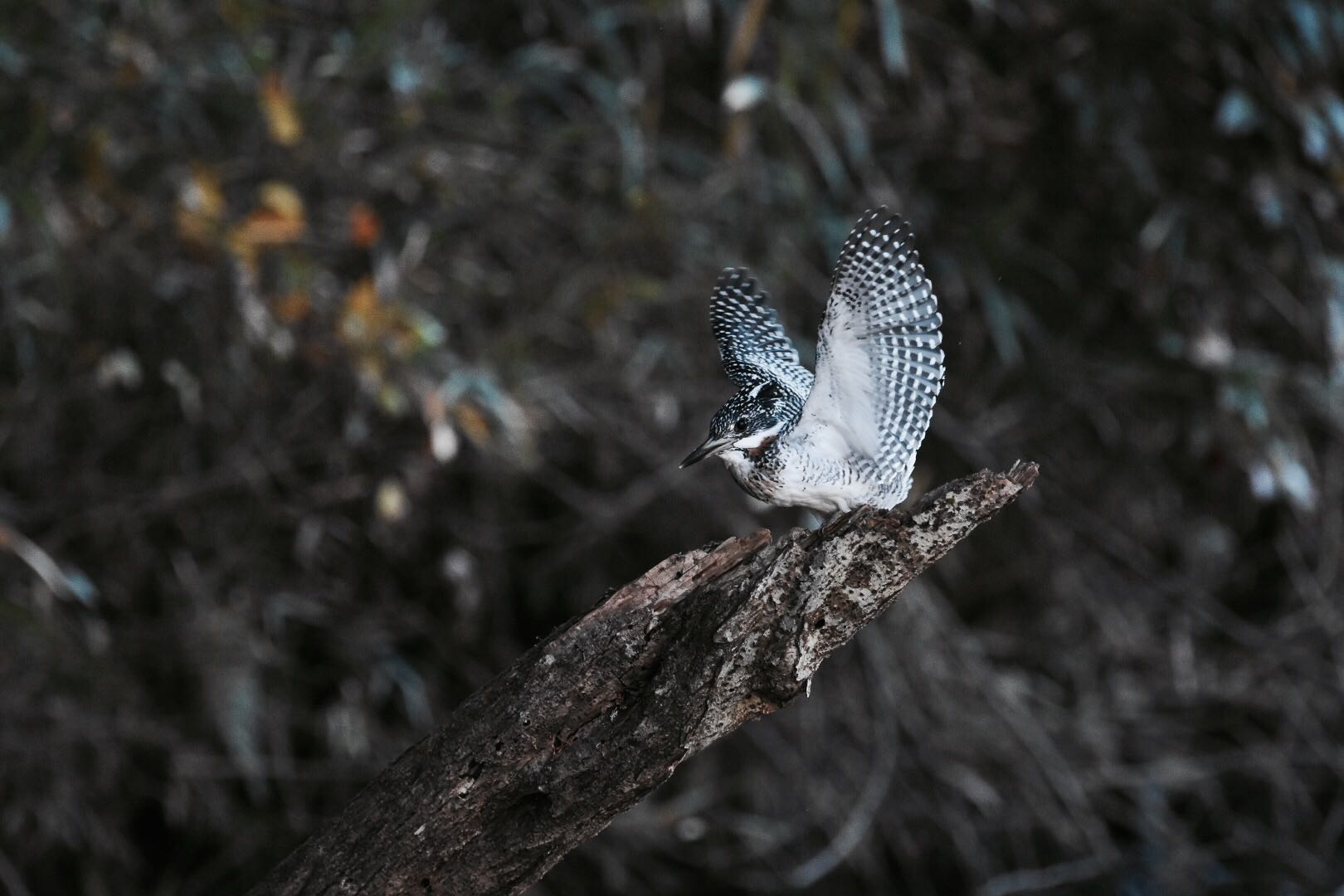 Untitled Photo by Yukihiro  Inoue