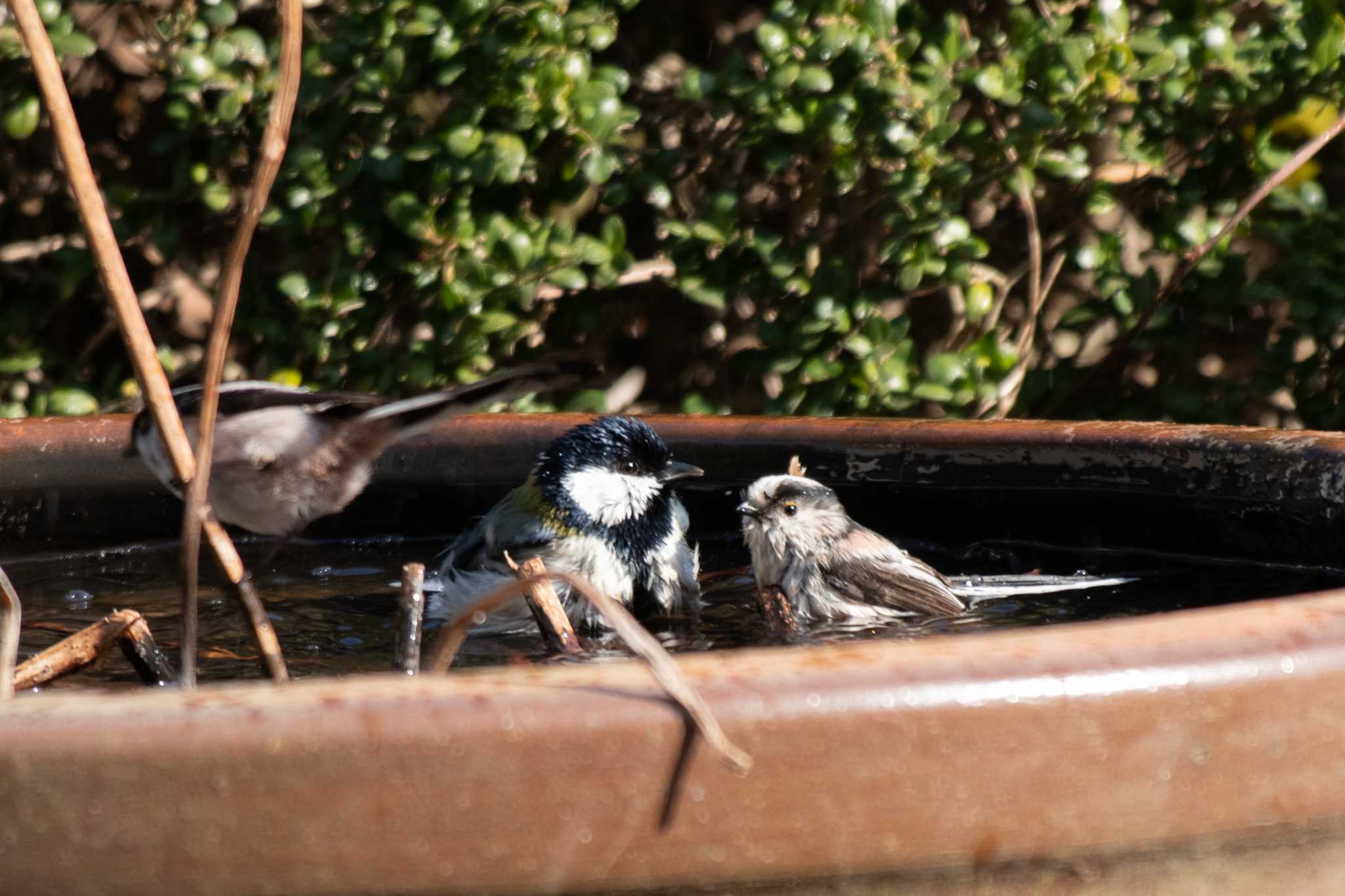 「ふーー，気持ちよかった♡」「…よかったね。」