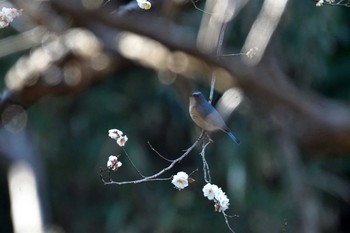 未同定 場所が不明 撮影日未設定