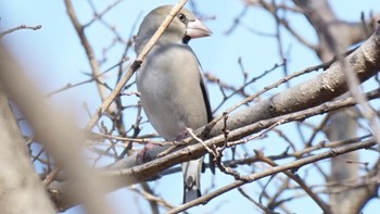 未同定 場所が不明 2021年2月20日(土)