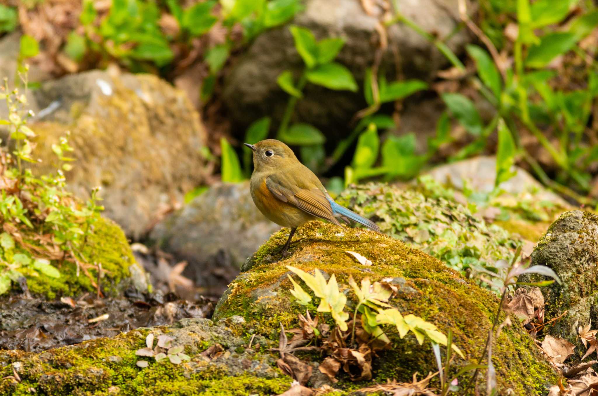 Untitled Photo by 龜