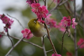 未同定 場所が不明 2021年2月23日(火)