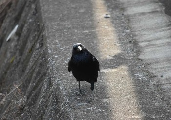 未同定 場所が不明 撮影日未設定