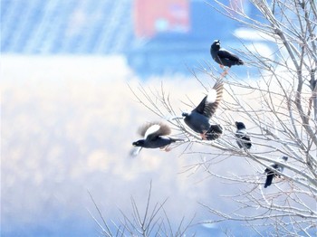 未同定 場所が不明 2021年3月10日(水)