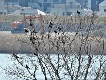 未同定 場所が不明 2021年3月10日(水)