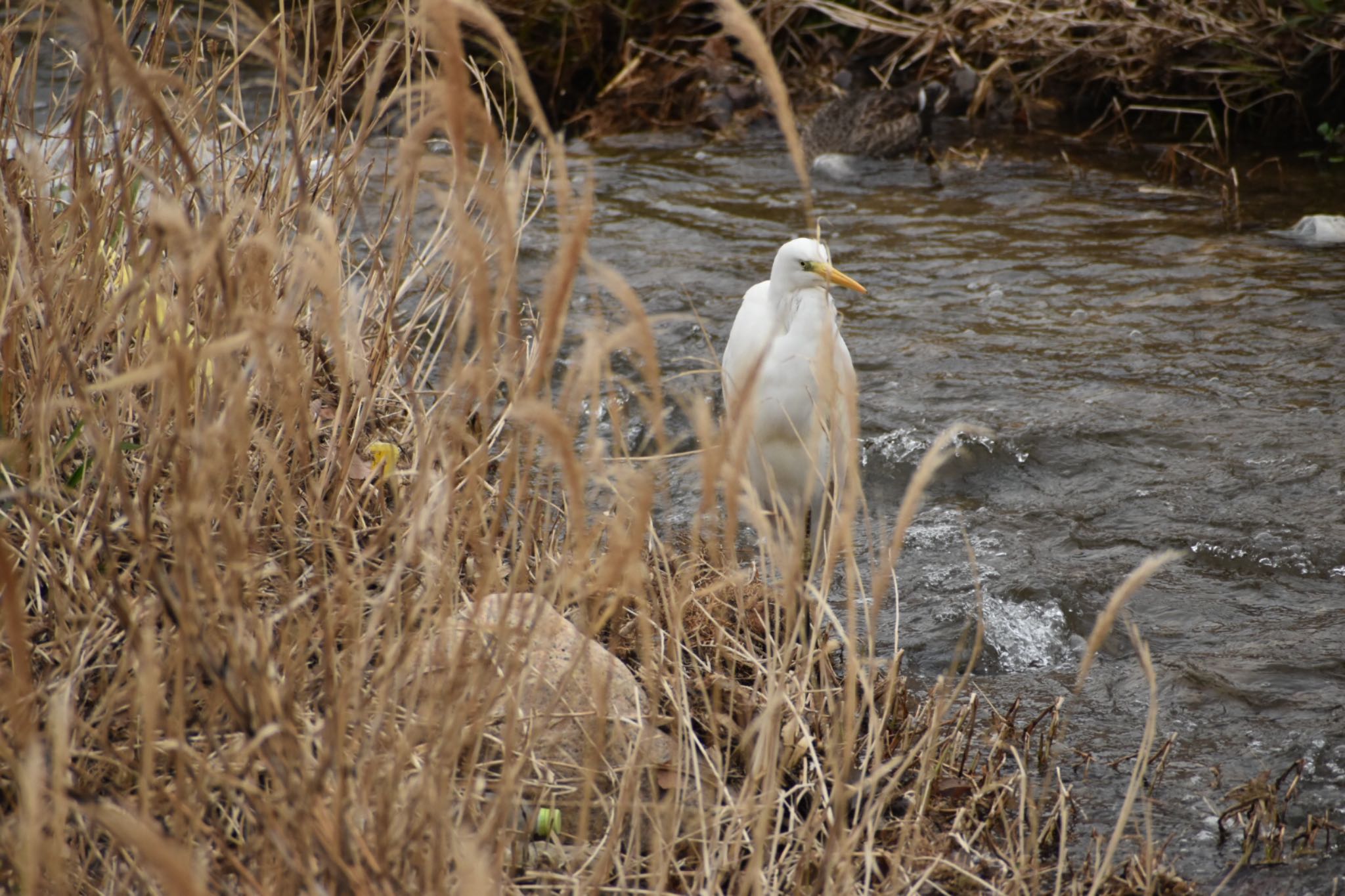 Untitled Photo by たつ6845