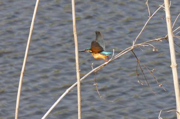 未同定 場所が不明 2021年3月16日(火)