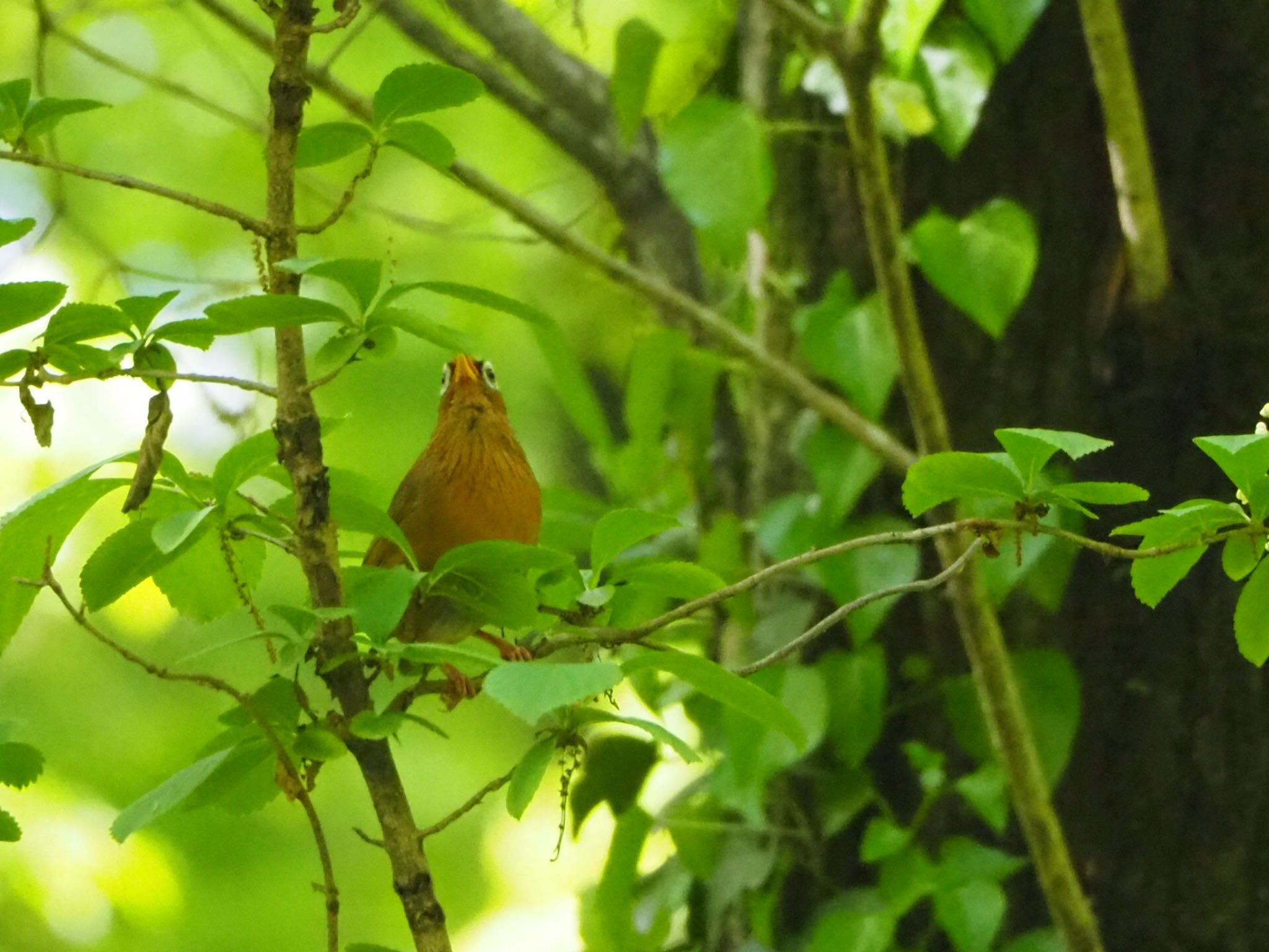 Untitled Photo by mk623