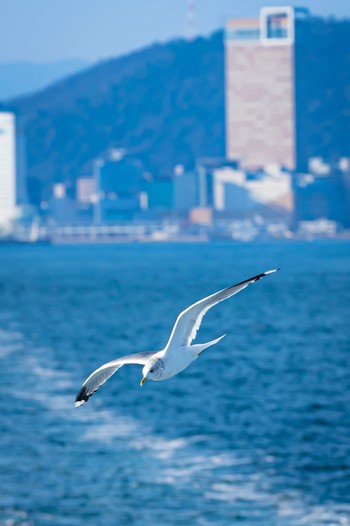 未同定 場所が不明 2021年2月20日(土)