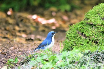 未同定 場所が不明 2021年5月4日(火)