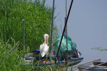 Great White Pelican 千葉県 Tue, 6/8/2021