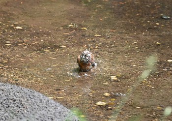 未同定 場所が不明 撮影日未設定