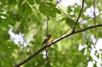 未同定 場所が不明 2021年6月25日(金)