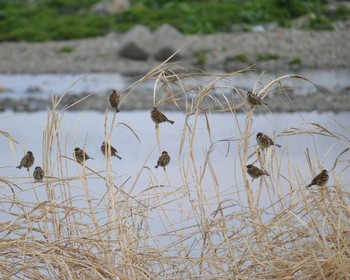 未同定 場所が不明 2017年3月29日(水)