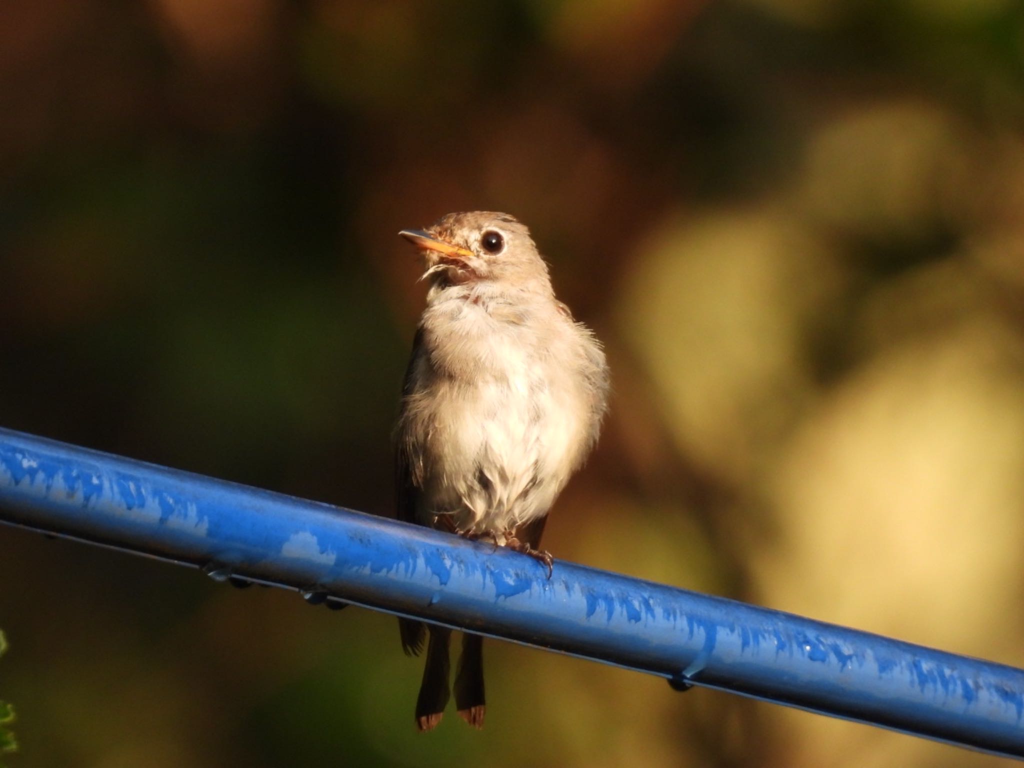 Untitled Photo by toritaro