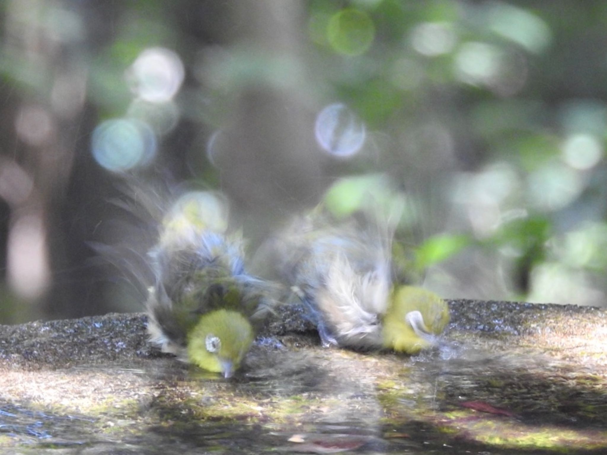 Untitled Photo by のん