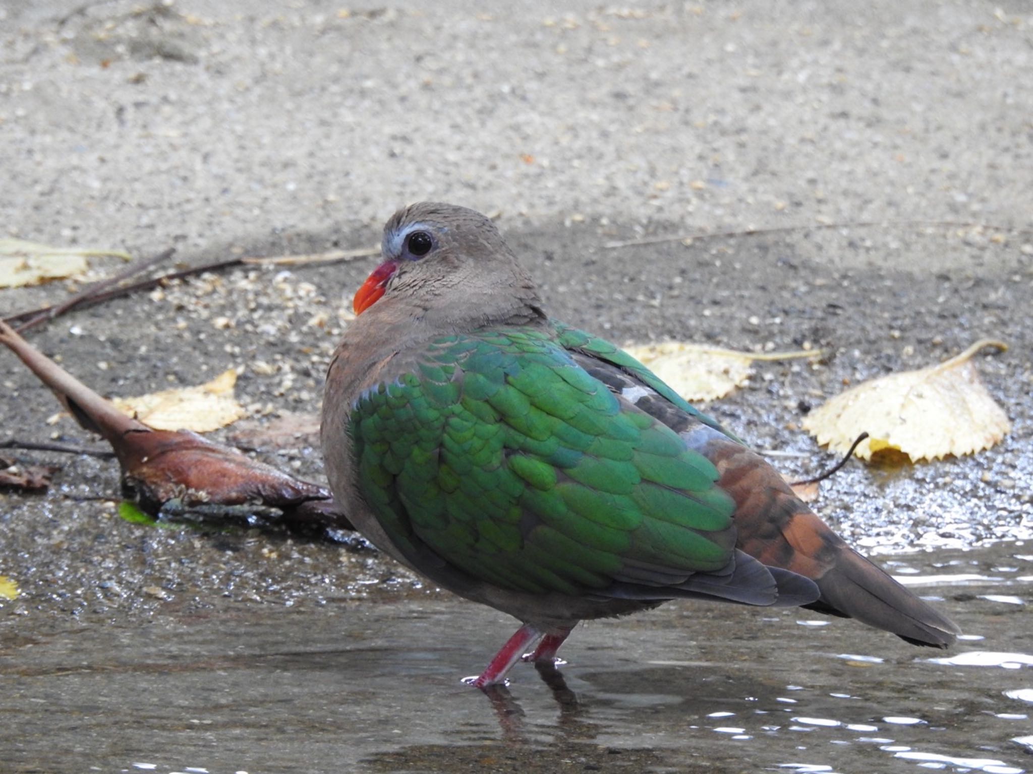 Untitled Photo by のん