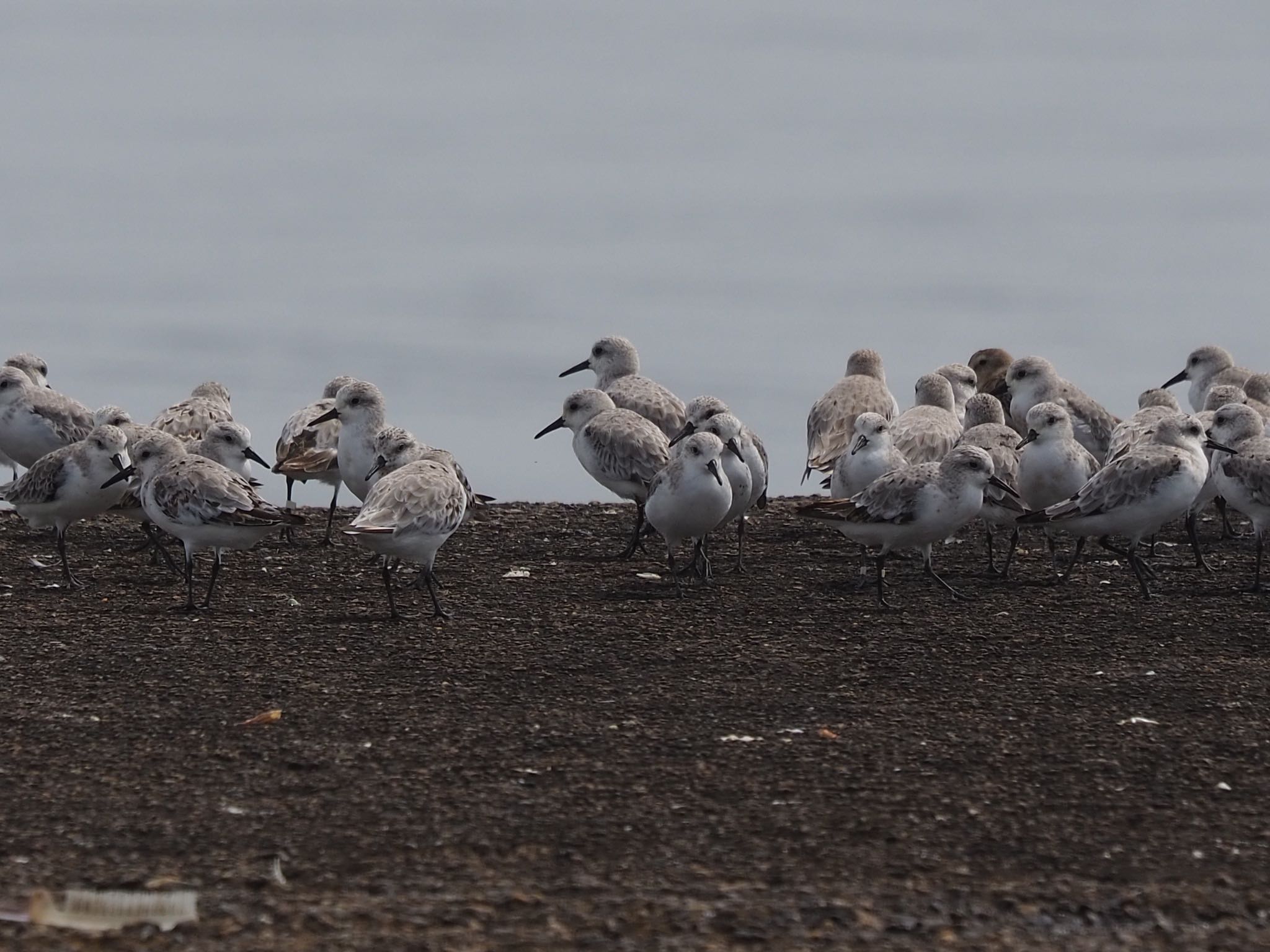 Untitled Photo by もさこ