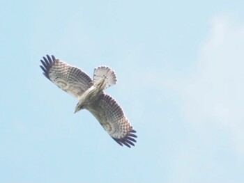 2021年9月28日(火) 乗鞍高原白樺峠の野鳥観察記録