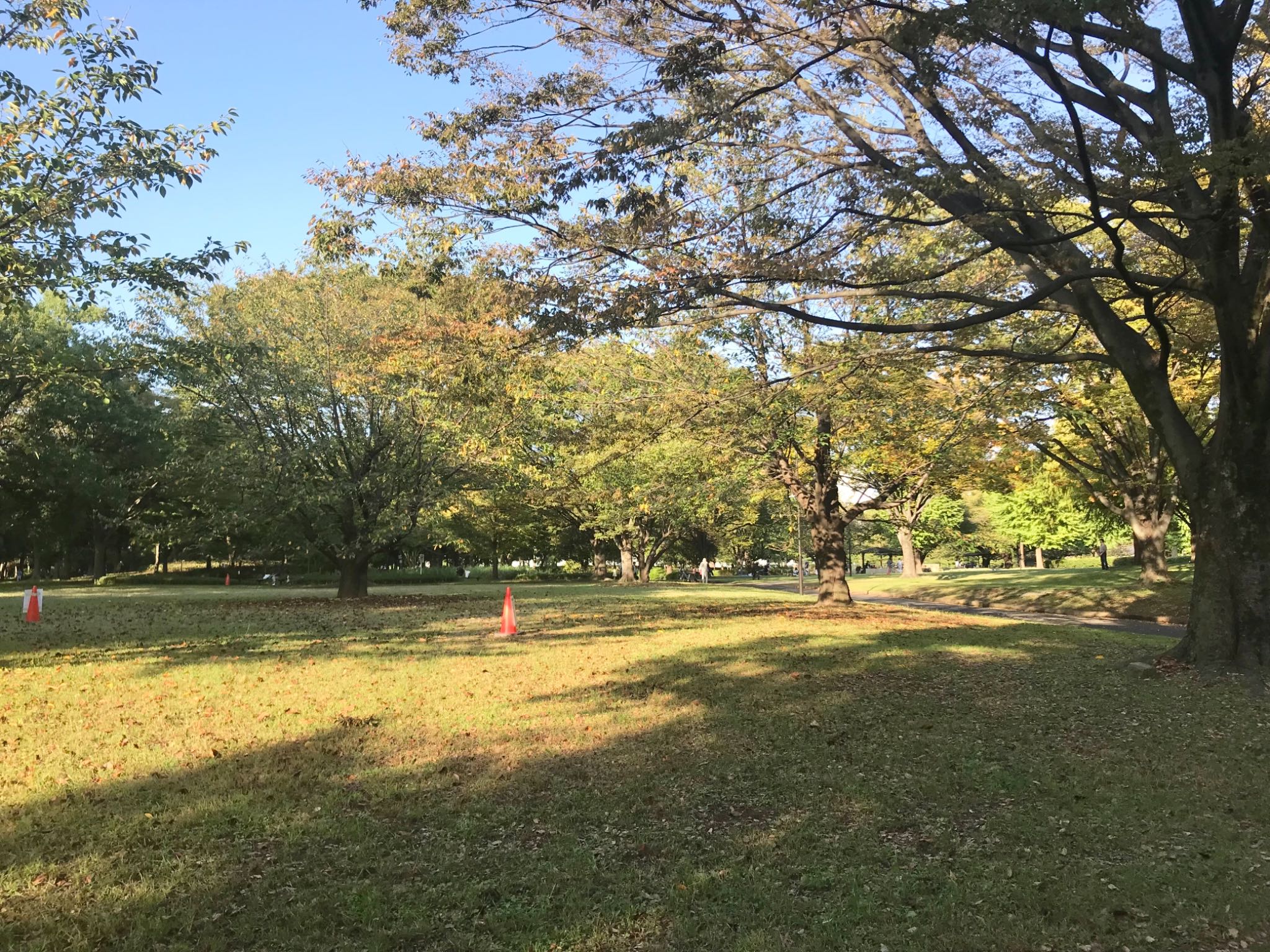 亀戸中央公園 by あらどん