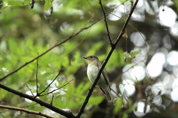 未同定 場所が不明 2021年10月16日(土)