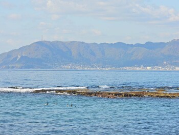 コクガン 函館市志海苔町 2021年10月24日(日)