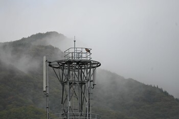 トビ 秋田県田沢湖 2021年10月23日(土)