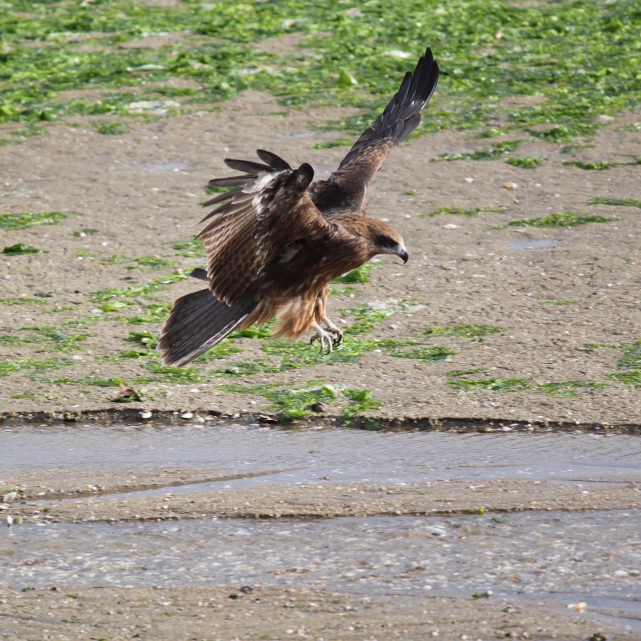 Untitled Photo by ようこ