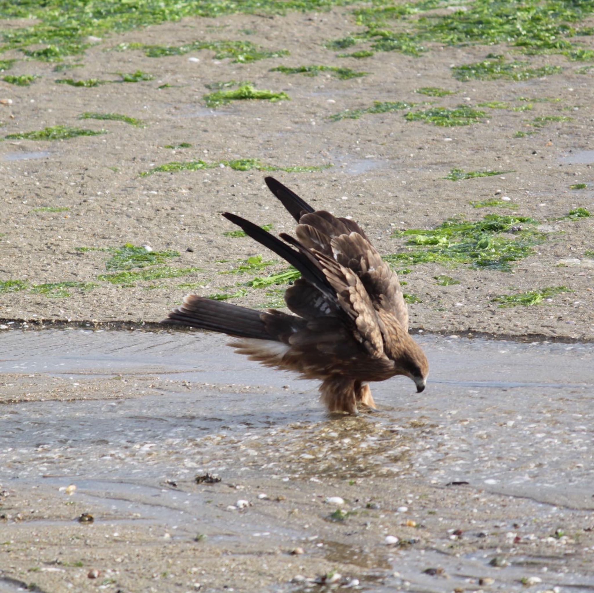 Untitled Photo by ようこ