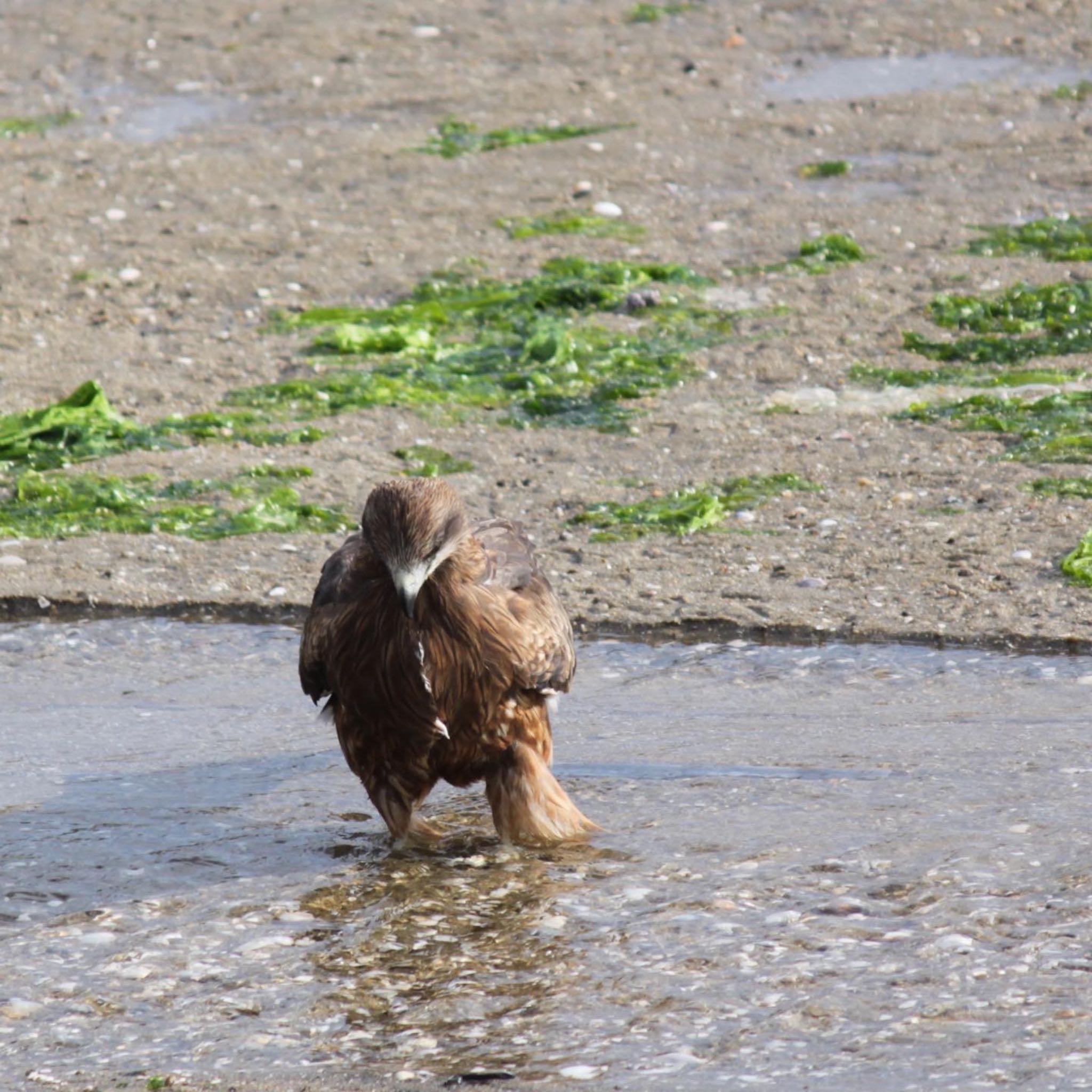 Untitled Photo by ようこ