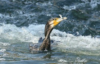 未同定 場所が不明 2007年5月9日(水)