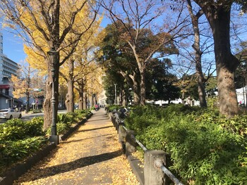 2021年12月4日(土) 山下公園の野鳥観察記録